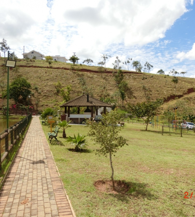 T1117 31.JPG